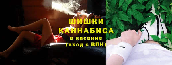 ПСИЛОЦИБИНОВЫЕ ГРИБЫ Горняк