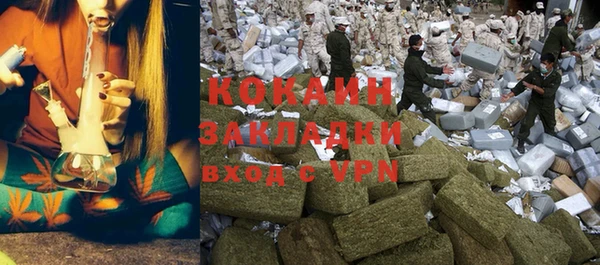 ПСИЛОЦИБИНОВЫЕ ГРИБЫ Горняк