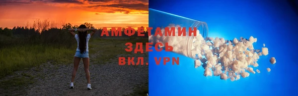 ПСИЛОЦИБИНОВЫЕ ГРИБЫ Горняк