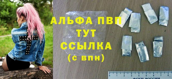 ПСИЛОЦИБИНОВЫЕ ГРИБЫ Горняк