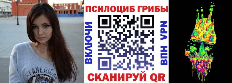 купить наркоту  Дивногорск  mega ONION  Псилоцибиновые грибы Cubensis 